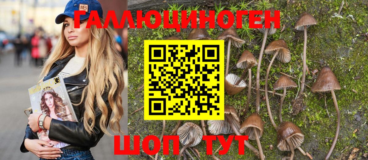 Галлюциногенные грибы Psilocybe Лянтор