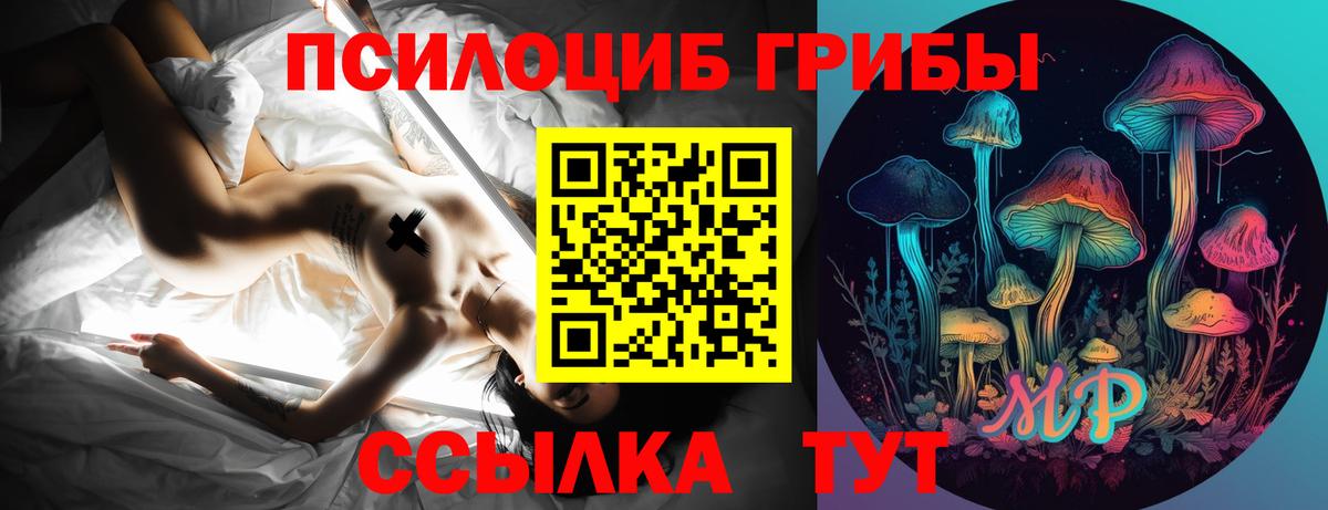 Псилоцибиновые грибы Psilocybe  Вход с VPN  Галлюциногенные грибы мицелий  Лянтор 